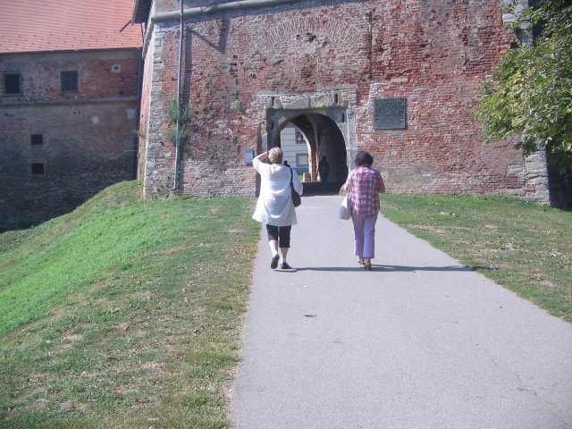 finnek 2011 047